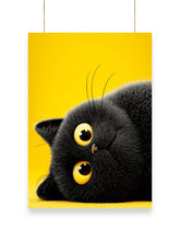 Cool Cat | Cool - Poster | 37